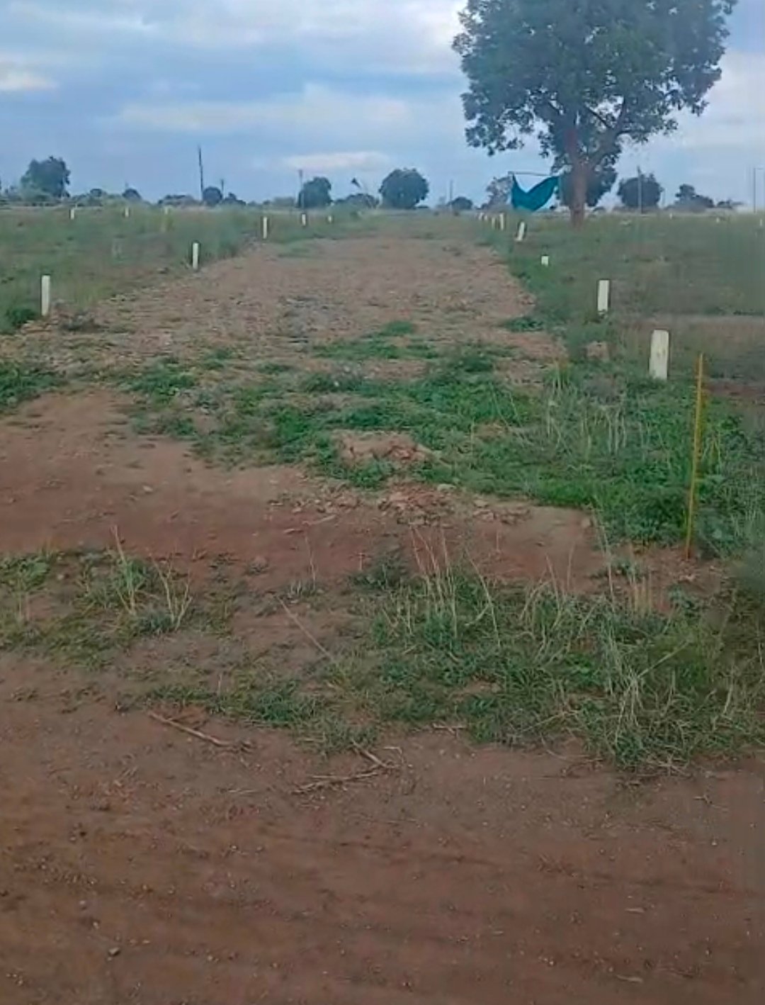 4 Acre farm ready for layout